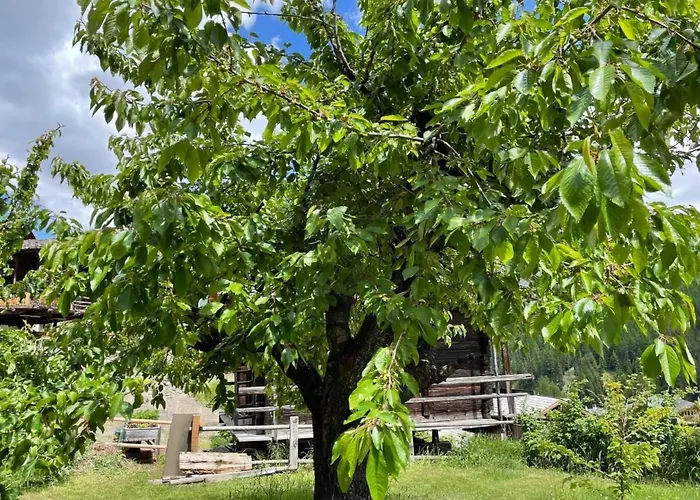 度假居 Familial By Interhome 格里门茨